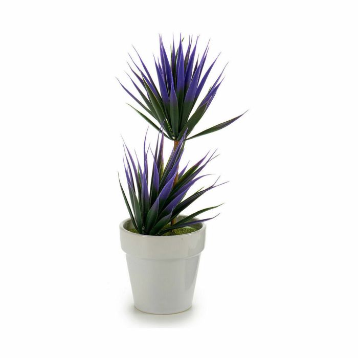 Planta Decorativa Suculenta Cerámica Plástico 10 x 30 x 10 cm (12 Unidades) 3