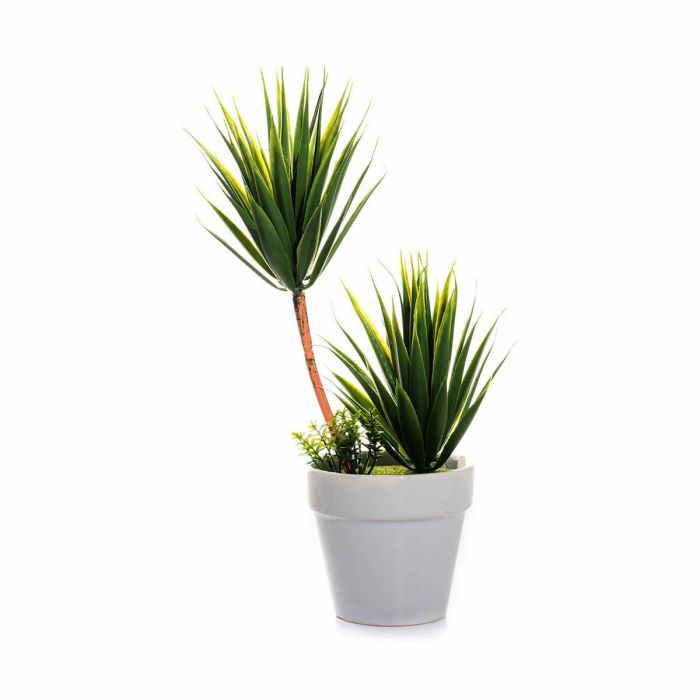 Planta Decorativa Suculenta Cerámica Plástico 10 x 30 x 10 cm (12 Unidades) 2