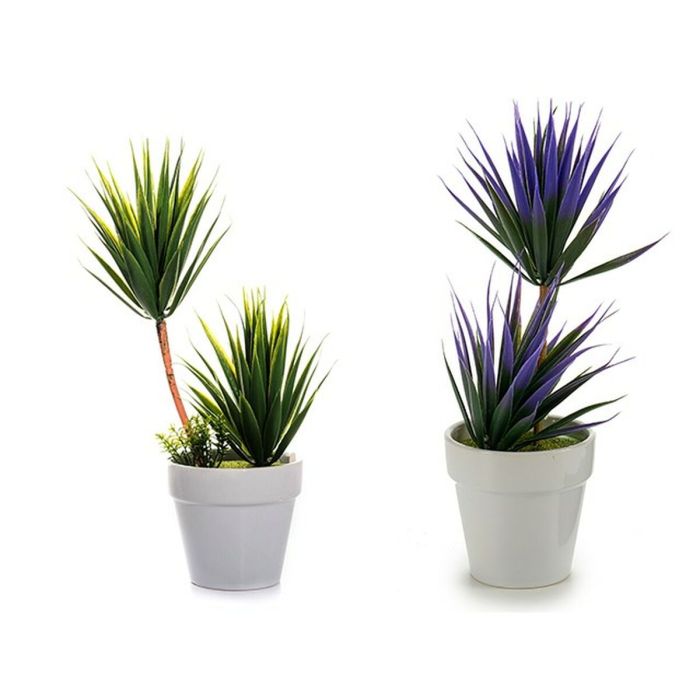 Planta Decorativa Suculenta Cerámica Plástico 10 x 30 x 10 cm (12 Unidades) 1