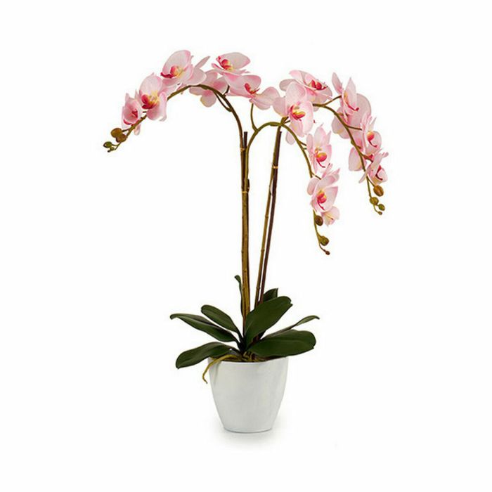 Planta Decorativa Orquídea Plástico 40 x 77 x 35 cm (2 Unidades) 1