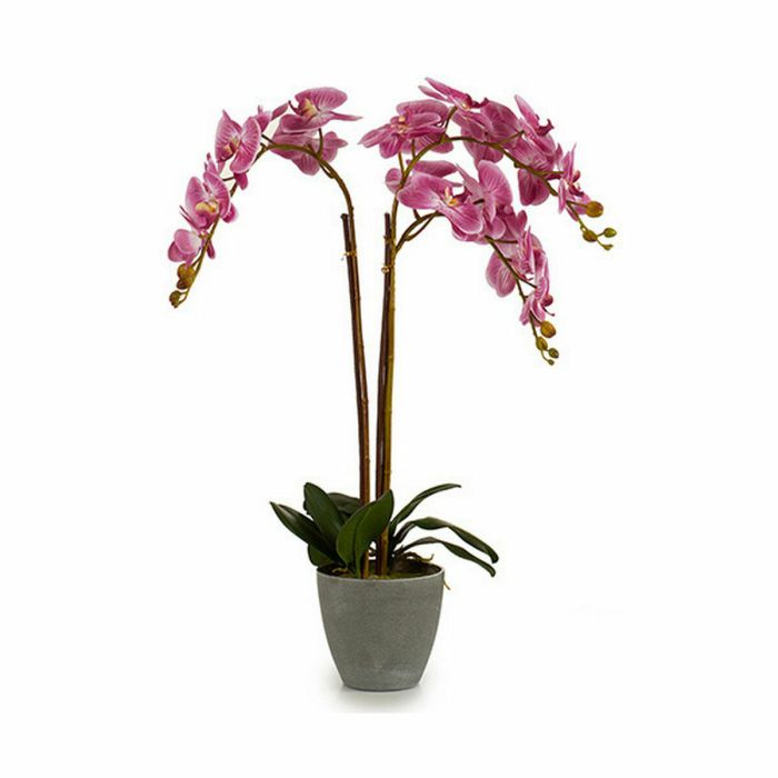 Planta Decorativa Orquídea Plástico 33 x 77 x 33 cm (2 Unidades) 1