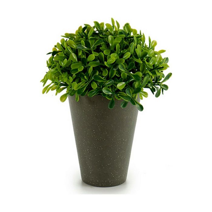 Planta Decorativa Plástico 13 x 16 x 13 cm Verde Gris (12 Unidades) 1