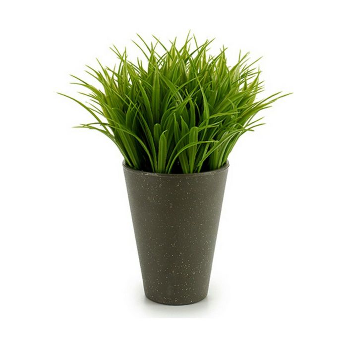 Planta Decorativa Plástico 11 x 18 x 11 cm Verde Gris (12 Unidades) 1