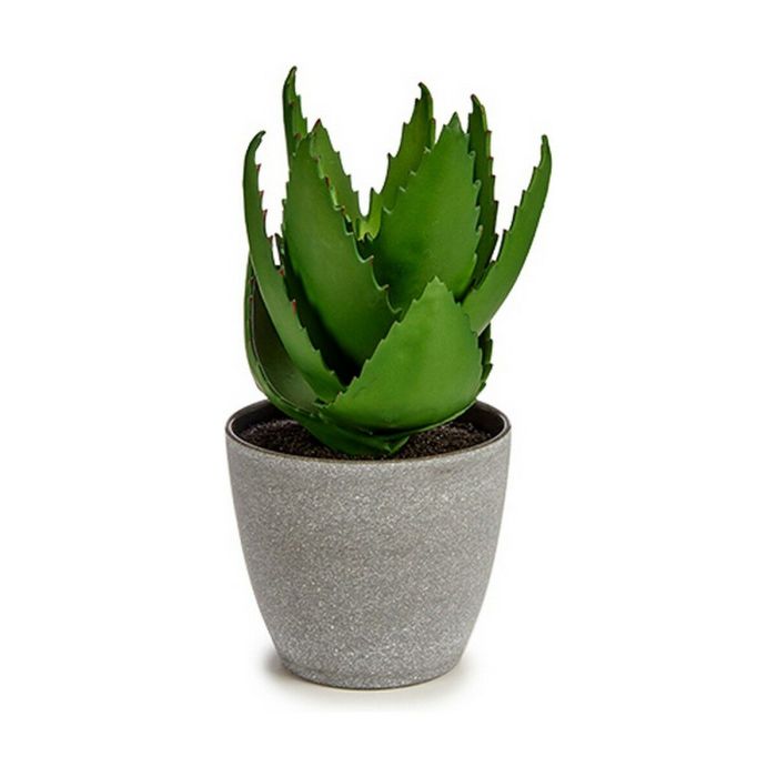 Planta Decorativa Aloe Vera 15 x 23,5 x 15 cm Gris Verde Plástico (6 Unidades) 1