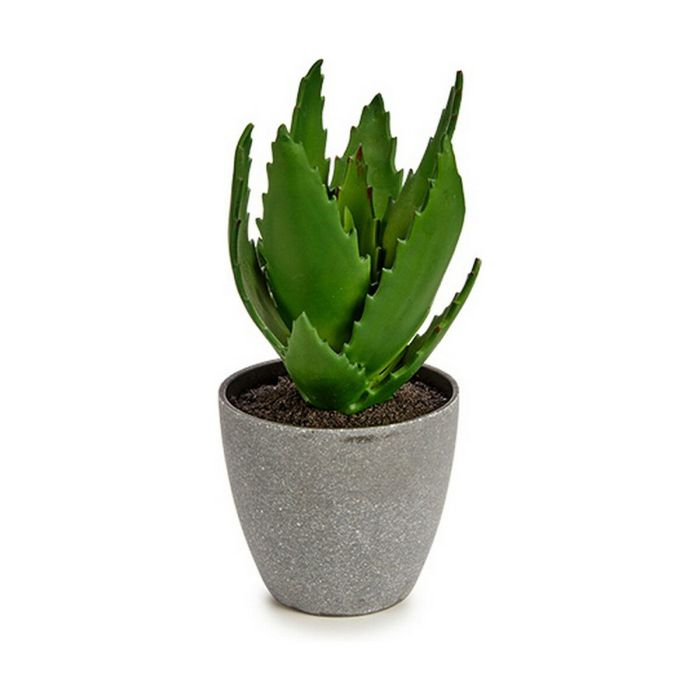 Planta Decorativa Aloe Vera 14 x 21 x 14 cm Gris Verde Plástico (6 Unidades) 1