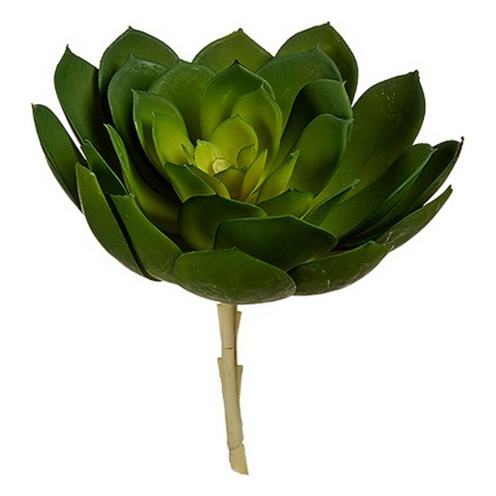 Planta Decorativa 22 x 19 x 19 cm Verde Plástico (6 Unidades) 1