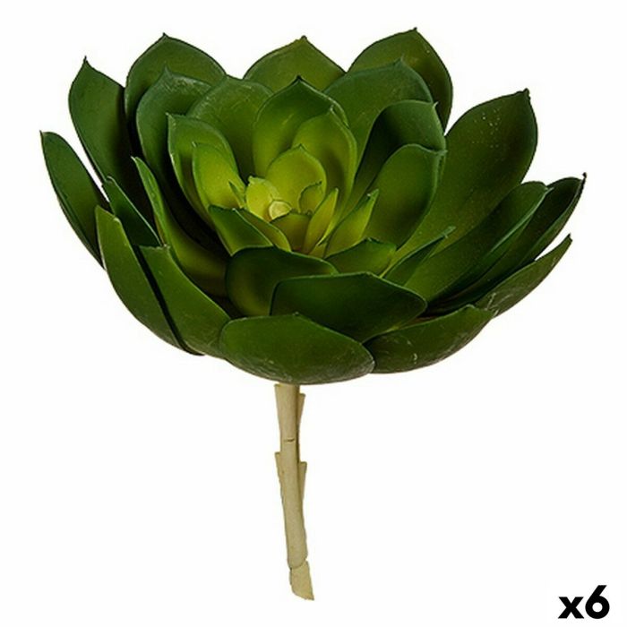 Planta Decorativa 22 x 19 x 19 cm Verde Plástico (6 Unidades)