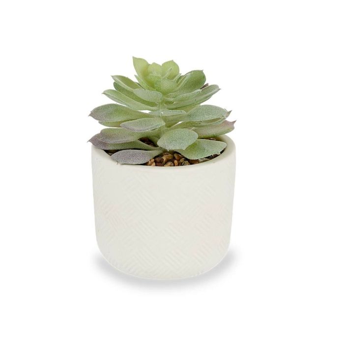 Planta Decorativa Suculenta Plástico 14 x 13,5 x 14 cm (12 Unidades) 2