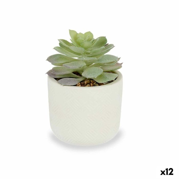 Planta Decorativa Ibergarden QY-H037 Plástico Suculenta 14 x 13,5 x 14 cm (12 Unidades)