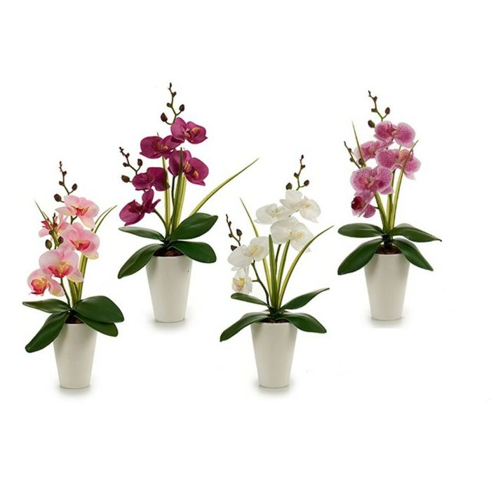 Flor Decorativa Orquídea Plástico 14 x 35 x 8 cm (12 Unidades) 1