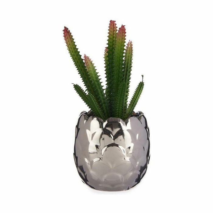 Planta Decorativa Cactus Cerámica Plástico 10 x 20 x 10 cm (6 Unidades) 1