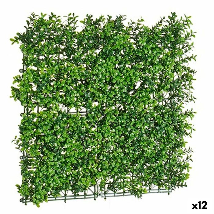 Kit de Jardín Vertical Verde 50 x 5 x 50 cm (12 Unidades) Kit de Jardín Vertical Verde 50 x 5 x 50 cm (12 Unidades)