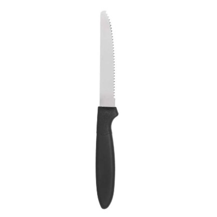 Set de Cuchillos Negro Plateado Acero Inoxidable Plástico 19,5 cm (12 Unidades) 1