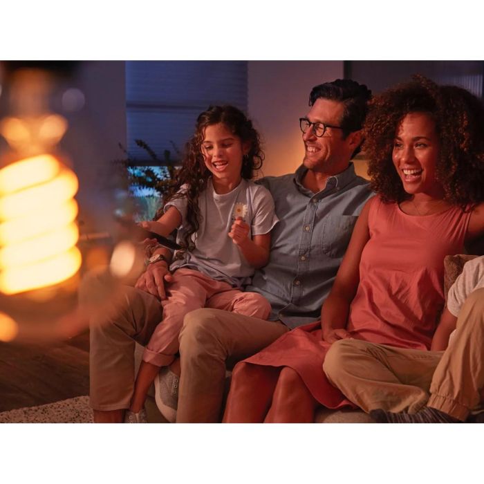 Philips Hue White E27 Filament Globe G93 550lm 2 Philips Hue White E27 Filament Globe G93 550lm 2