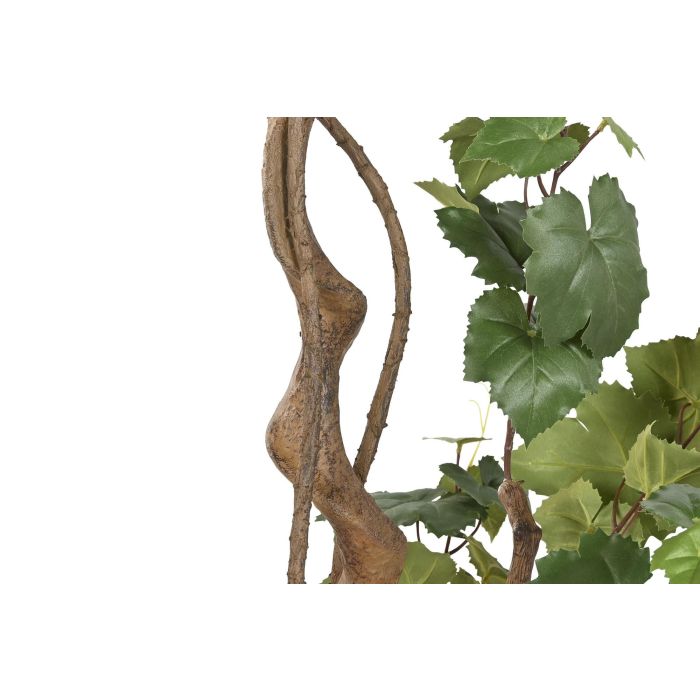 Arbol Mediterraneo DKD Home Decor Verde 58 x 180 x 58 cm (2 Unidades) 2 Arbol Mediterraneo DKD Home Decor Verde 58 x 180 x 58 cm (2 Unidades) 2