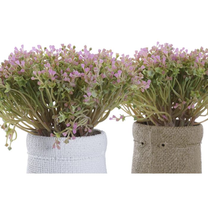 DKD Home Decor Planta Material PE y EVA, Colores Surtidos (Blanco, Marrón, Verde), Dimensiones 20x20x19 cm - Lote 4 Unidades 1 DKD Home Decor Planta Material PE y EVA, Colores Surtidos (Blanco, Marrón, Verde), Dimensiones 20x20x19 cm - Lote 4 Unidades 1