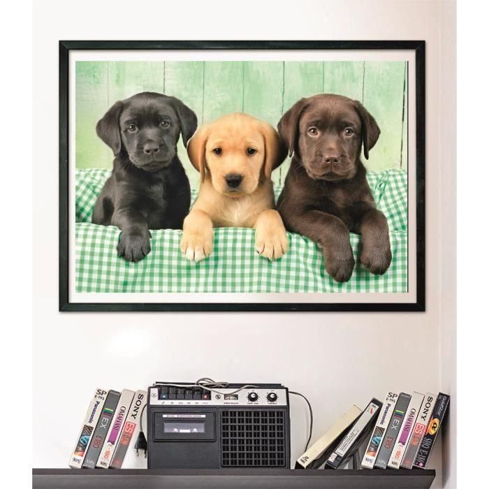 Clementoni CLE8005125399468 Puzzle Compacto 1000 piezas Tres Laboratorios 3 Clementoni CLE8005125399468 Puzzle Compacto 1000 piezas Tres Laboratorios 3