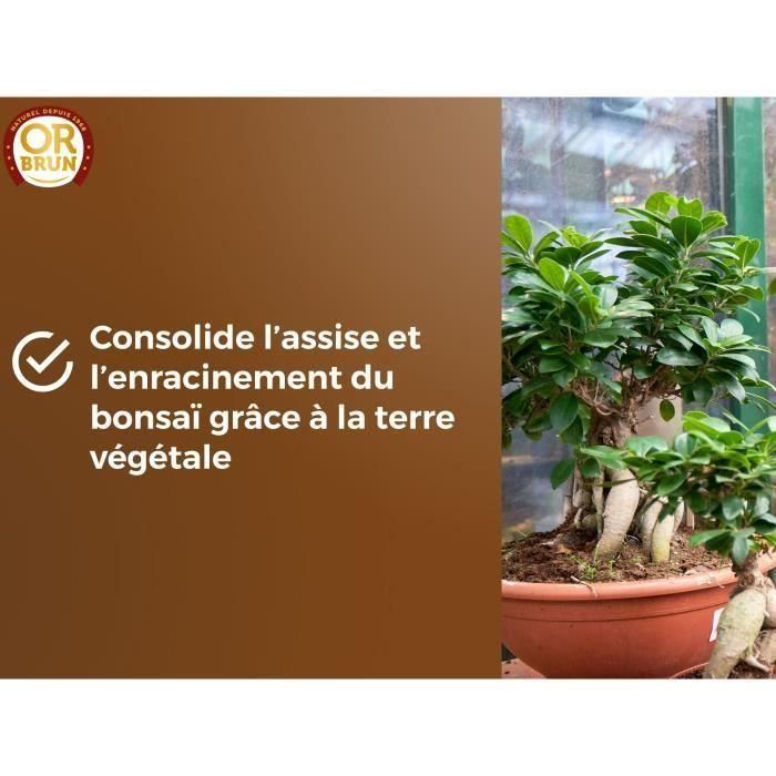 Tierra para bonsáis - BROWN GOLD - OBRTBON6U - 6L - Mejor enraizamiento 5 Tierra para bonsáis - BROWN GOLD - OBRTBON6U - 6L - Mejor enraizamiento 5