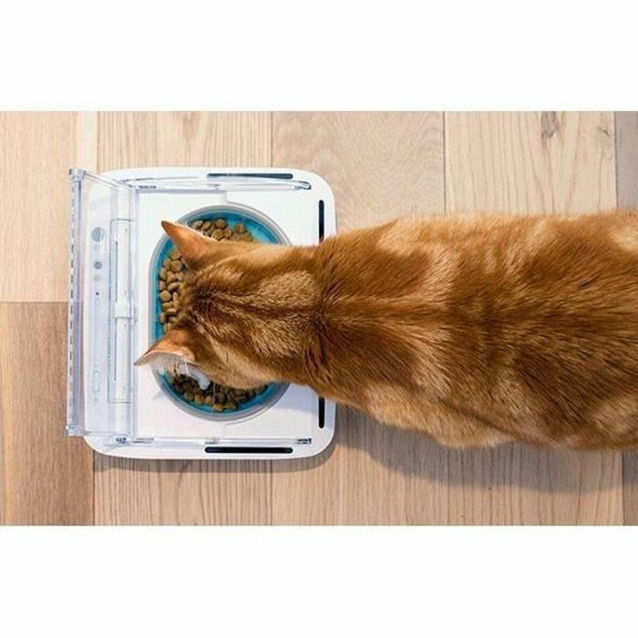 Sureflap Dispensador Automático de Alimentos SureFeed Hermético para Gatos y Perros Pequeños, Conserva Frescura y Reduce Olores 3