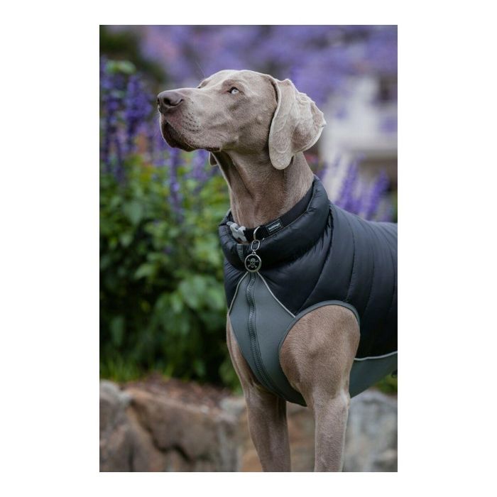 Red Dingo Abrigo Puffer Acolchado Reversible para Perro Negro-Gris 50 cm con Protección Pecho Neopreno y Detalles Reflectantes 1