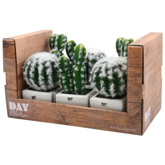 Day Cactus Artificial Maceta Plástico Mate Formas Surtidas Alto Redondo H 17 Cm H 13 Cm Maceta 7 5x7 5 Cm H 6 Cm 3 Day Cactus Artificial Maceta Plástico Mate Formas Surtidas Alto Redondo H 17 Cm H 13 Cm Maceta 7 5x7 5 Cm H 6 Cm 3