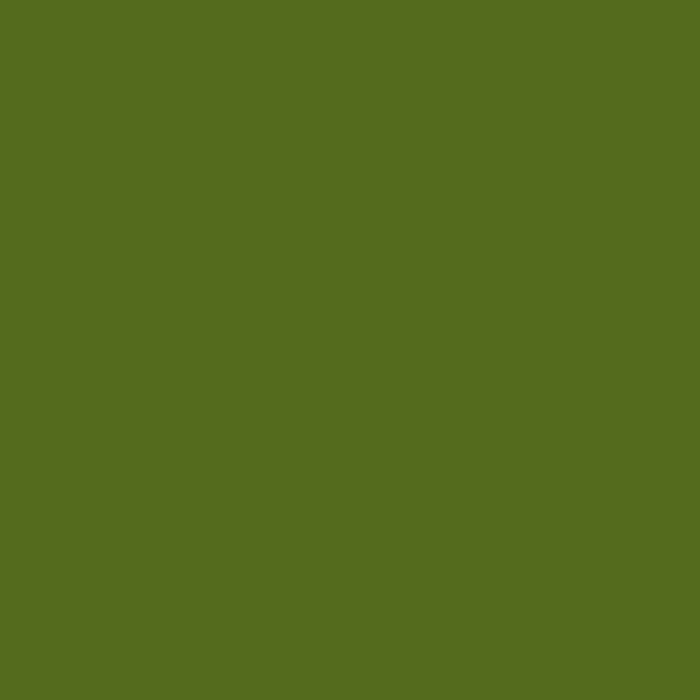 Cartulina Iris Verde militar