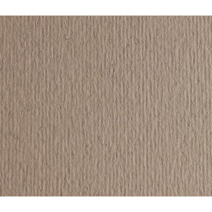 Cartulinas Sadipal LR 200 Texturizada Gris 50 x 70 cm (20 Unidades) 1