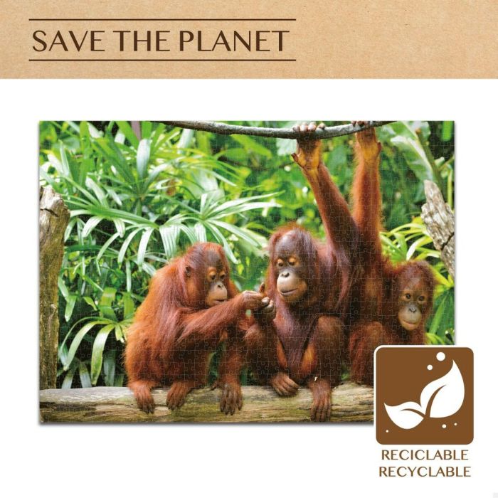 Puzzle Colorbaby Orangutan 6 Unidades 68 x 50 x 0,1 cm 4