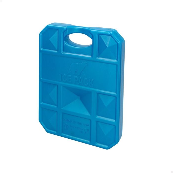 Acumulador de Frío Aktive Azul 750 ml 16 x 20 x 3,2 cm (12 Unidades) 1