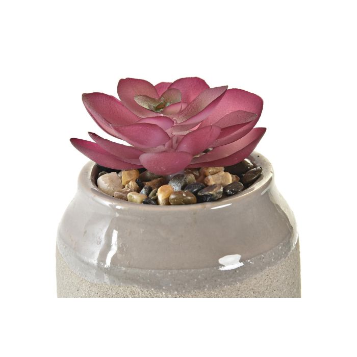 Planta Scandi DKD Home Decor Verde Gris 7.5 x 12 x 7.5 cm (6 Unidades) 2 Planta Scandi DKD Home Decor Verde Gris 7.5 x 12 x 7.5 cm (6 Unidades) 2