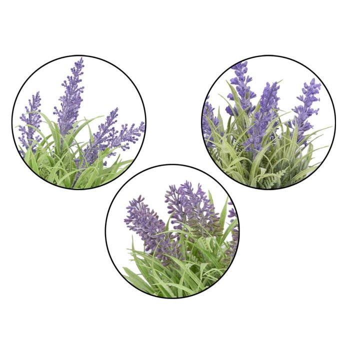 Maceta Cilindro Lavanda Surtidos Ibergarden 15X21CM (36 Unidades) 1 Maceta Cilindro Lavanda Surtidos Ibergarden 15X21CM (36 Unidades) 1