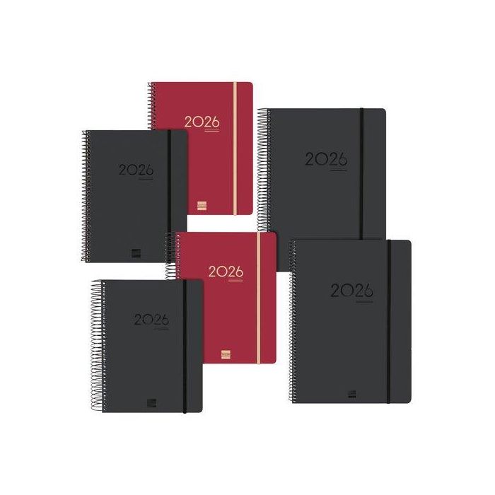 Agenda Anual (2025-26) Finocam 16 Meses Internacional Ikon Surtido Pack De 12