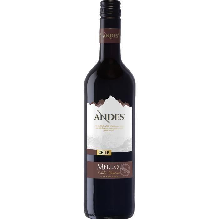 Andes Merlot - Vino tinto de Chile Andes Merlot - Vino tinto de Chile