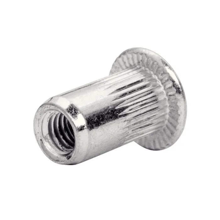 Rapid RAP4051661037054 Tuercas de Crimpado para Tornillos M8 Ø8mm Caja de 20 + Broca 2