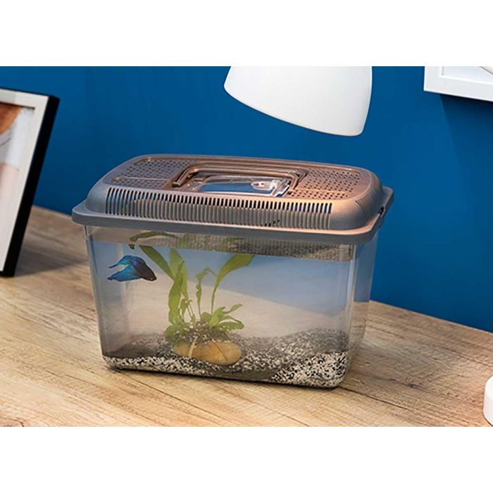 Pecera Mediana 24X17Cm Antracita Con Asa Mascow (12 Unidades) 1 Pecera Mediana 24X17Cm Antracita Con Asa Mascow (12 Unidades) 1