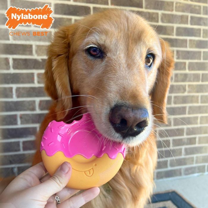 Juguete para perros Nylabone Rosa Bacon L Juguete para perros Nylabone Rosa Bacon L