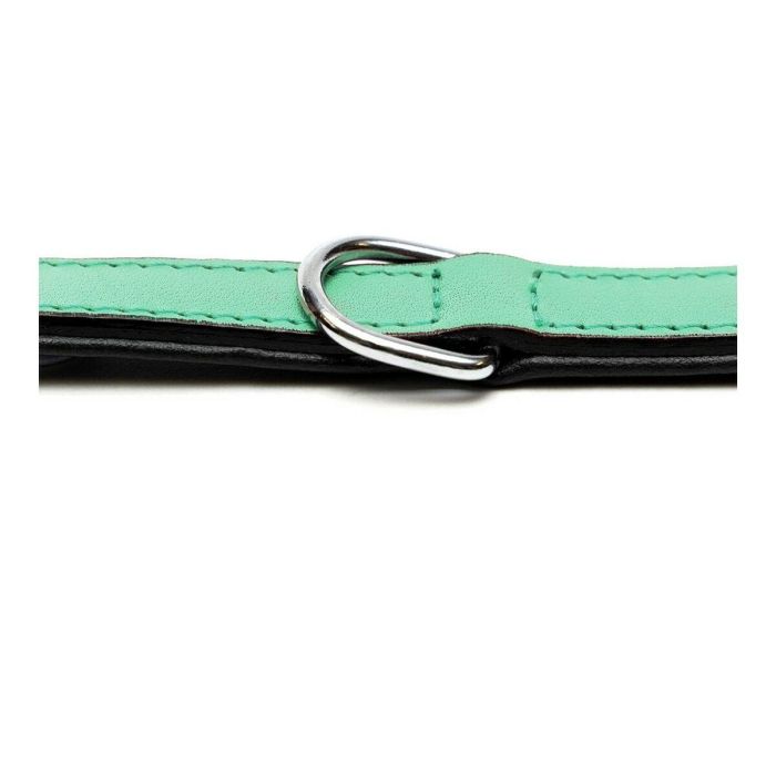 Collar Piel Acolchado 30 cm X 15 mm Verde 2 Collar Piel Acolchado 30 cm X 15 mm Verde 2