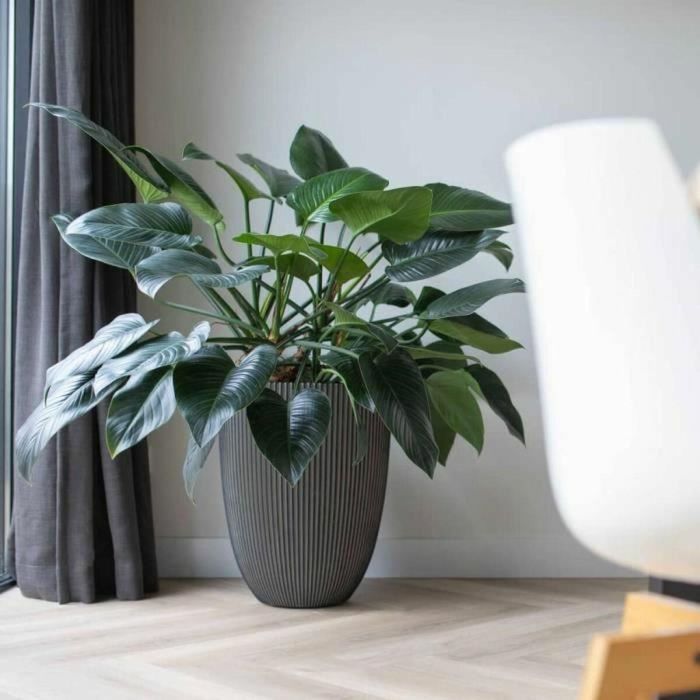 Capi Europe 445501 Jarrón Elegant Groove 46x58 cm Antracita 2 Capi Europe 445501 Jarrón Elegant Groove 46x58 cm Antracita 2