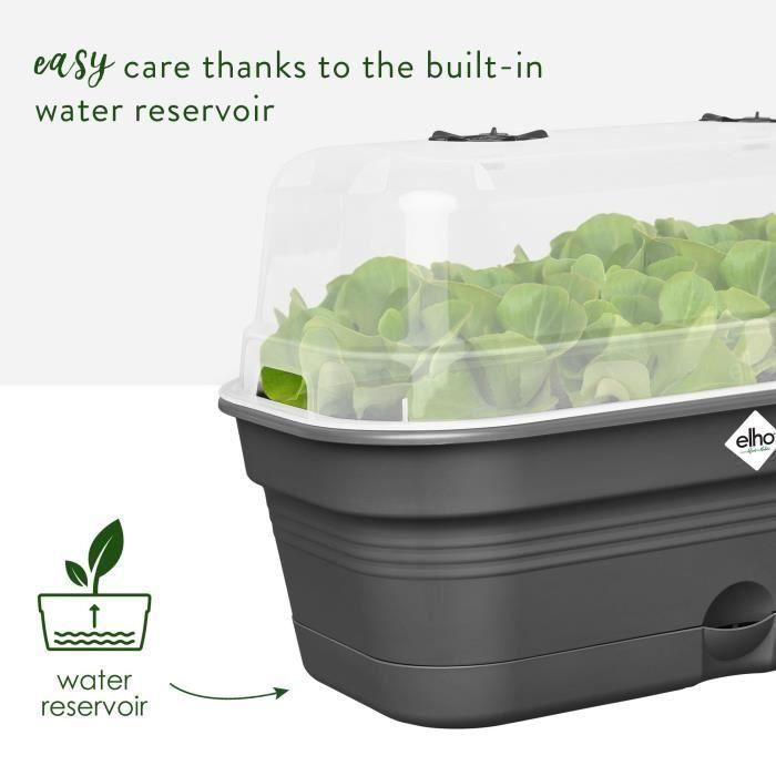 Bandeja de cultivo ELHO Green Basics Allin1 L - Negro - L 39 x B 23 x H 15 cm - cultivo y cosecha - 100% reciclado 4 Bandeja de cultivo ELHO Green Basics Allin1 L - Negro - L 39 x B 23 x H 15 cm - cultivo y cosecha - 100% reciclado 4