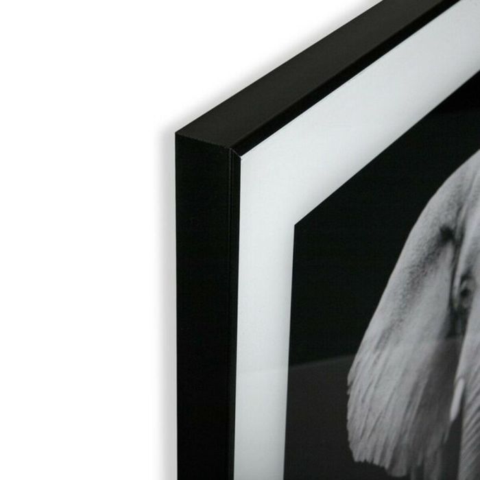 Cuadro Elefante en Cristal Versa - 2x50 cm (2 Unidades) 5 Cuadro Elefante en Cristal Versa - 2x50 cm (2 Unidades) 5