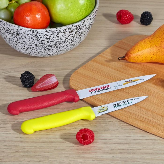 Juego De 2 Cuchillos Acero Inoxidable Cook Concept 1