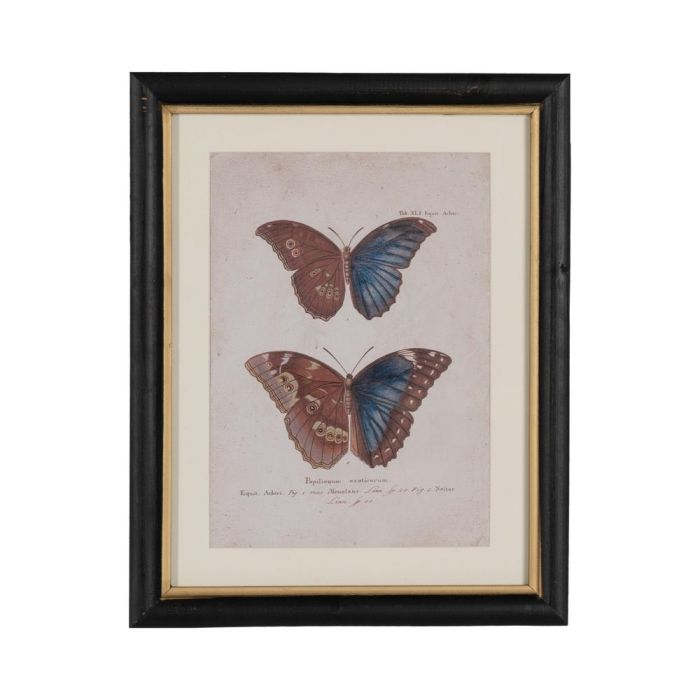 Cuadro Impresión Mariposas 4/M 31 X 1,80 X 39 cm