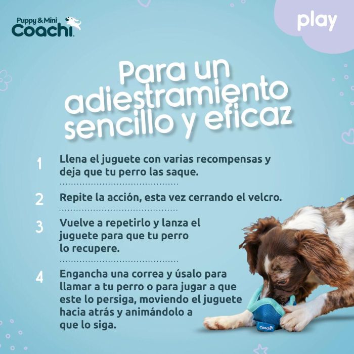 Arnés para Perro Coachi 1