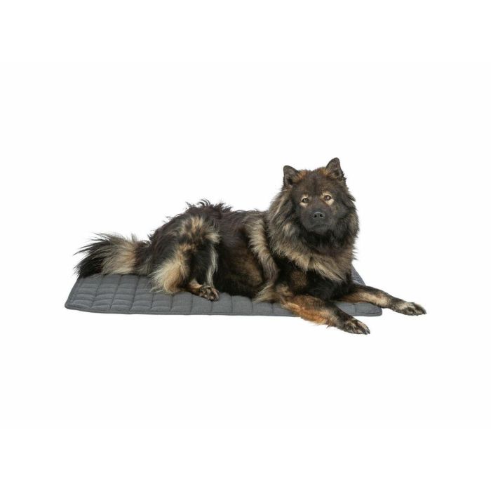 Colchoneta Trixie Gris oscuro 100 × 70 CM Perro 2 Colchoneta Trixie Gris oscuro 100 × 70 CM Perro 2