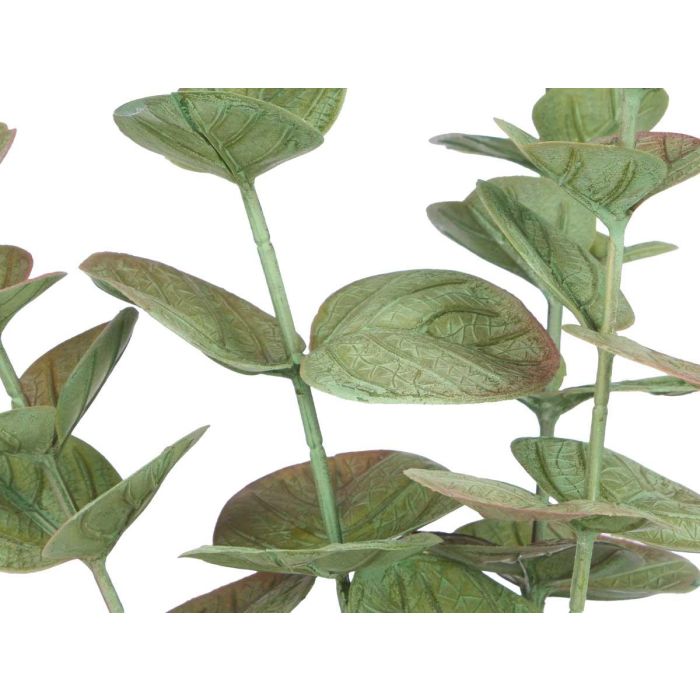 Maceta Planta Hoja Redonda Mate Brillo Surtidos Col Ibergarden 16X35CM (12 Unidades) 3 Maceta Planta Hoja Redonda Mate Brillo Surtidos Col Ibergarden 16X35CM (12 Unidades) 3