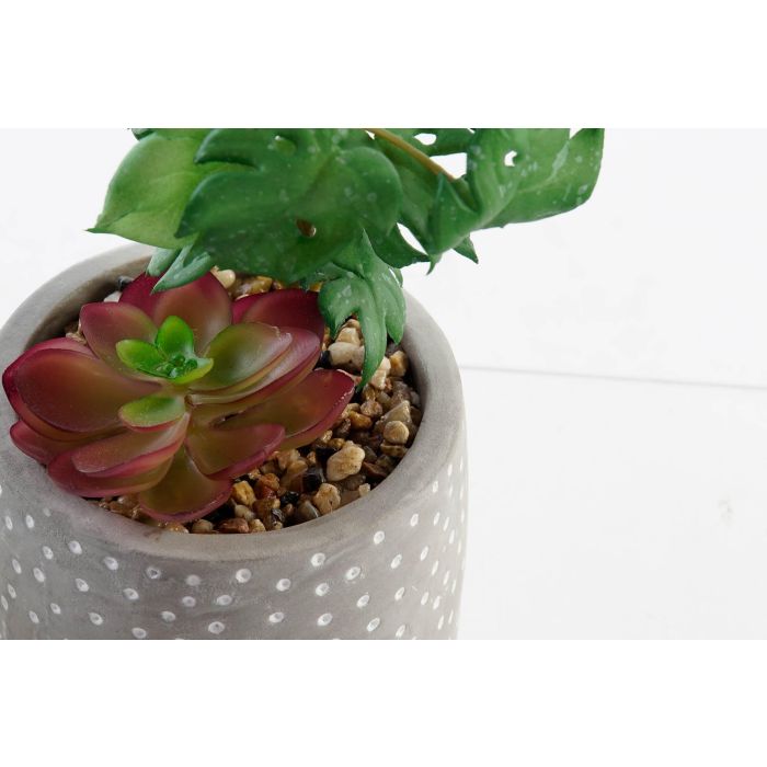 DKD Home Decor Planta Artificial Decorativa Set de 6 Unidades de 18 cm de Alto con Maceta de Cemento y PE Colores Surtidos 3 DKD Home Decor Planta Artificial Decorativa Set de 6 Unidades de 18 cm de Alto con Maceta de Cemento y PE Colores Surtidos 3