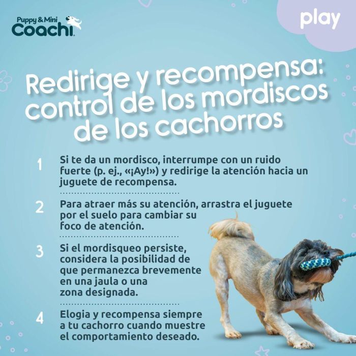 Arnés para Perro Coachi 1