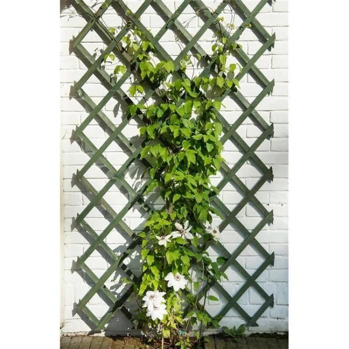 Nature Trellis Enrejado Extensible de Madera Verde 50 x 150 cm