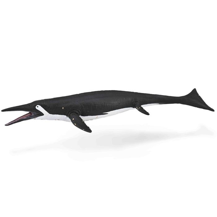 Shastasaurus - L - 88974 - Collecta Shastasaurus - L - 88974 - Collecta