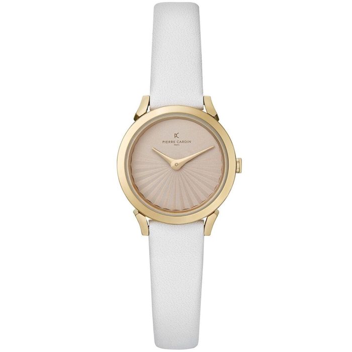 Reloj Mujer Pierre Cardin CPI-2509